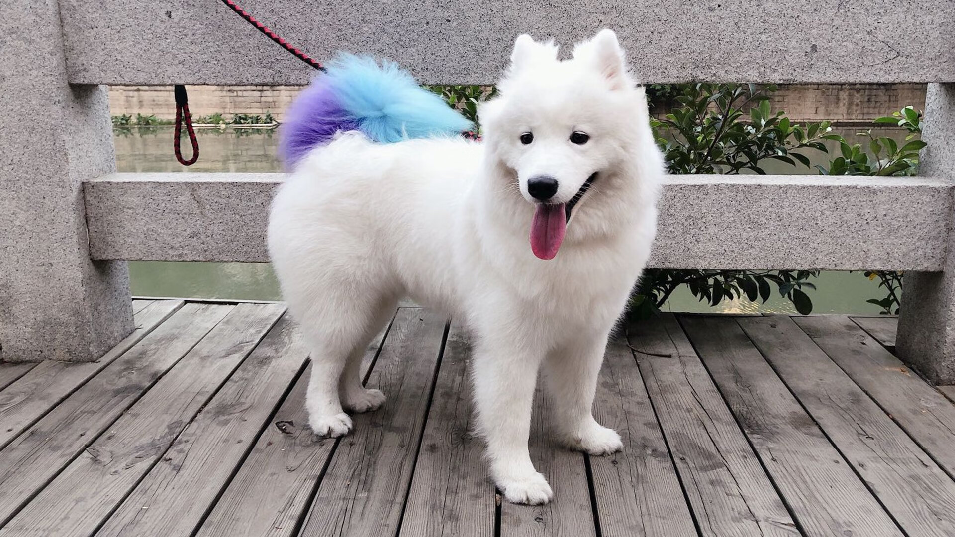 九游娱乐(jiuyou)官方网站-_燃情篮球夜：足球+篮球融合娱乐盛事_，燃烧篮球