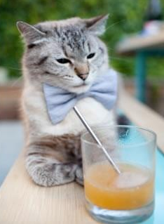 九游app官网下载-全国青少年“创新文化”篮球交流会在广州盛大举办，促进青训行业行业合作